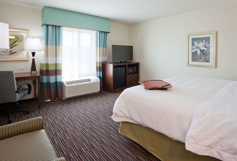 ホテル Hampton Inn & Suites Minneapolis West/ Minnetonka