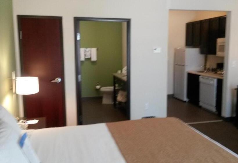 ホテル Petrostay Inn & Suites Cotulla