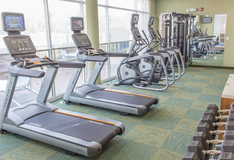 Отель Springhill Suites By Marriott Sumter