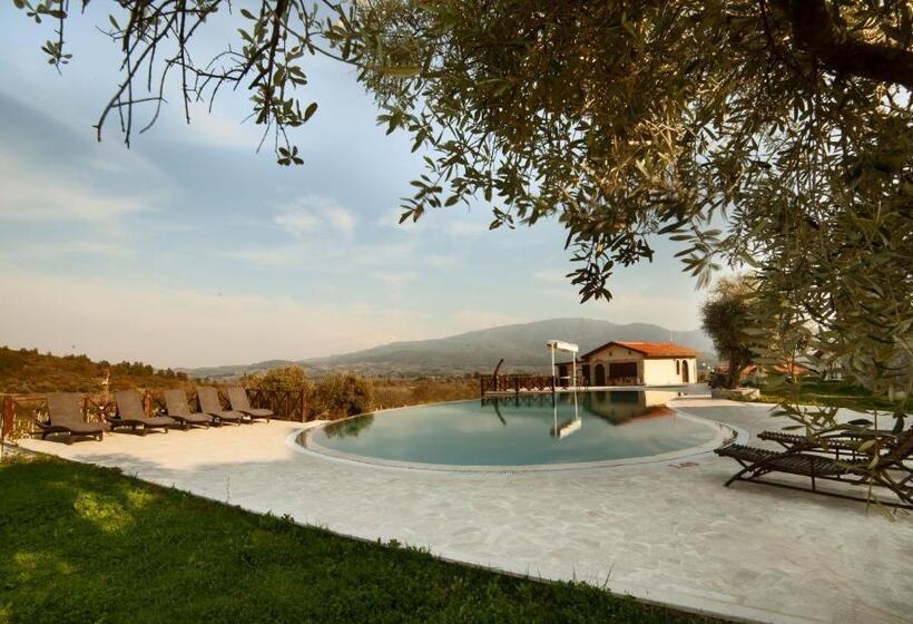 هتل Vinifera Vineyards