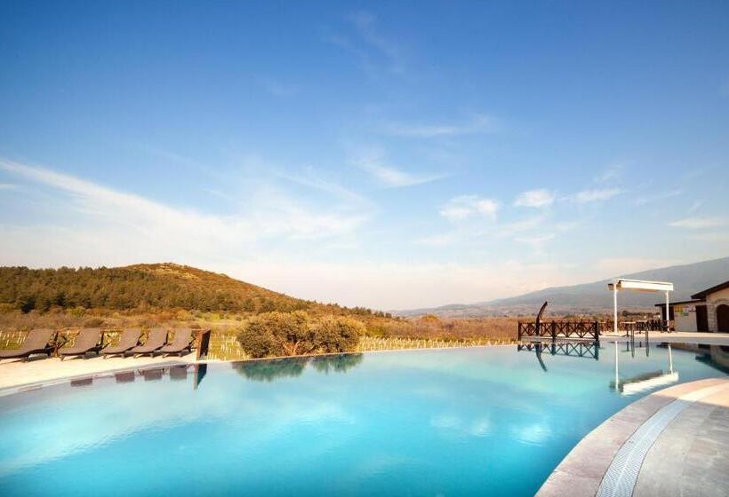 هتل Vinifera Vineyards