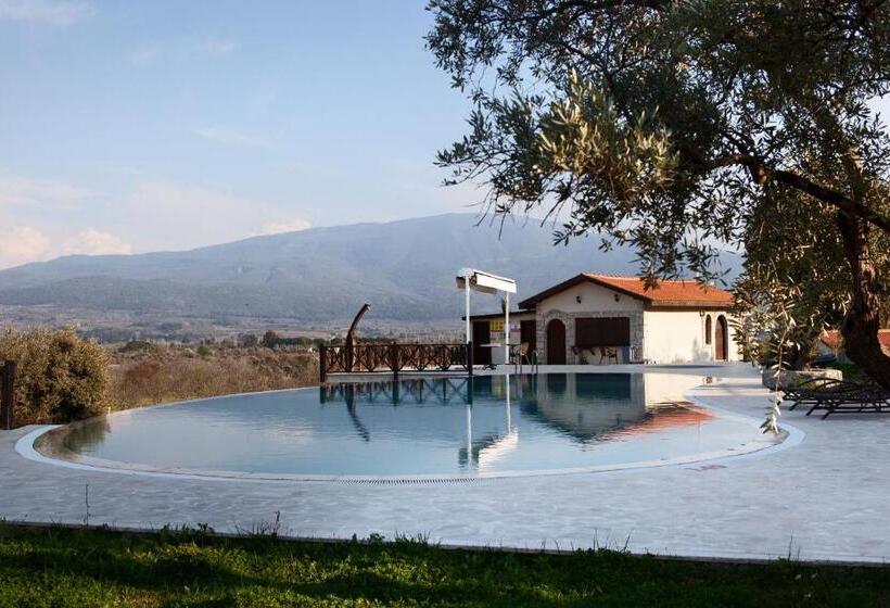 هتل Vinifera Vineyards