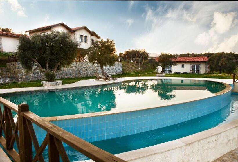 هتل Vinifera Vineyards