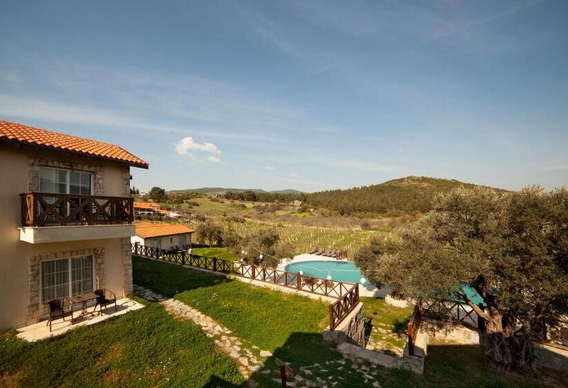 هتل Vinifera Vineyards