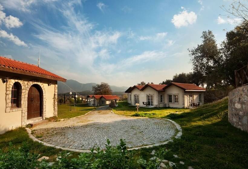 هتل Vinifera Vineyards