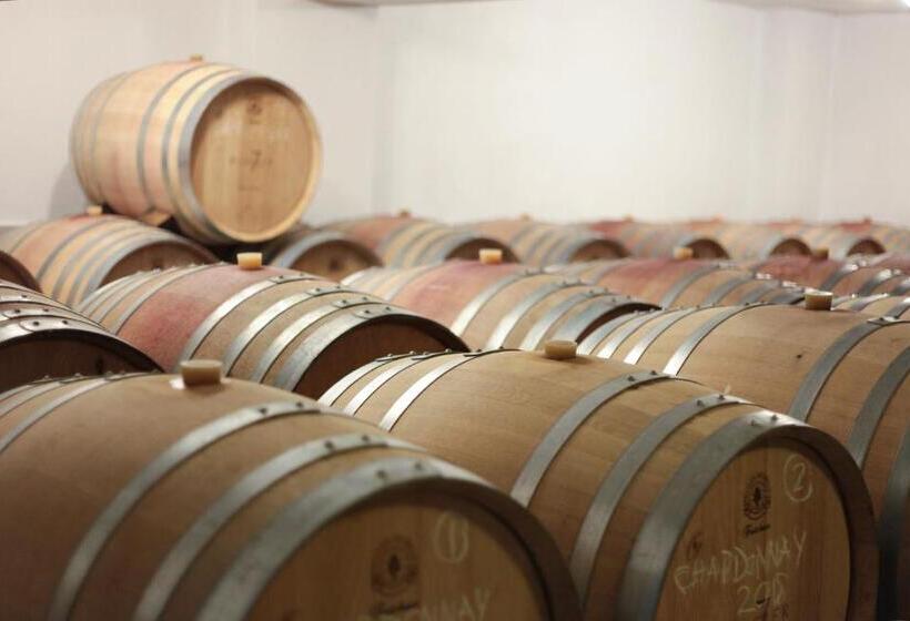 هتل Vinifera Vineyards