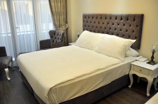 Fotos del hotel World Heritage Hotel Istanbul:  13