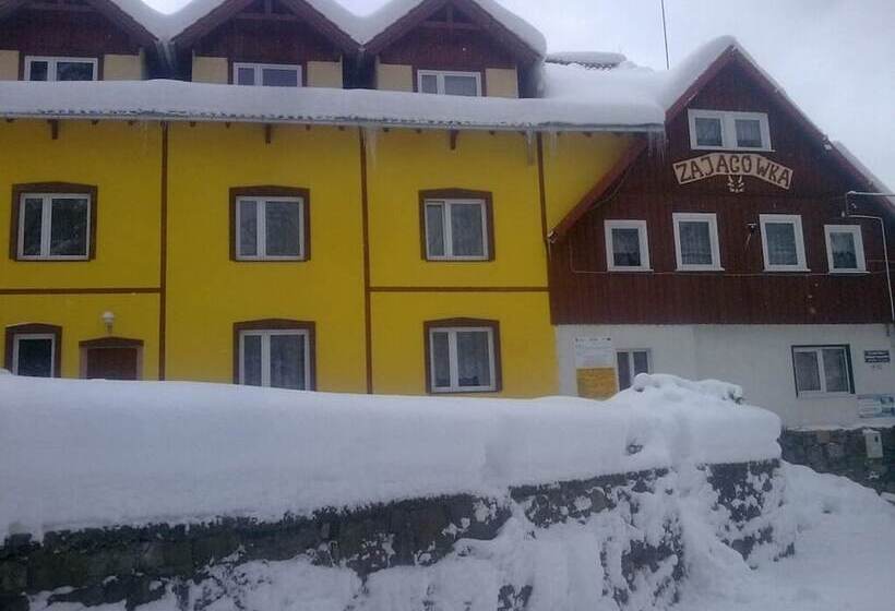 هتل Zającówka   Idealna Lokalizacja   Leśna Enklawa W Centrum Miasta! Sauna, Masaże, Zabiegi Spa!