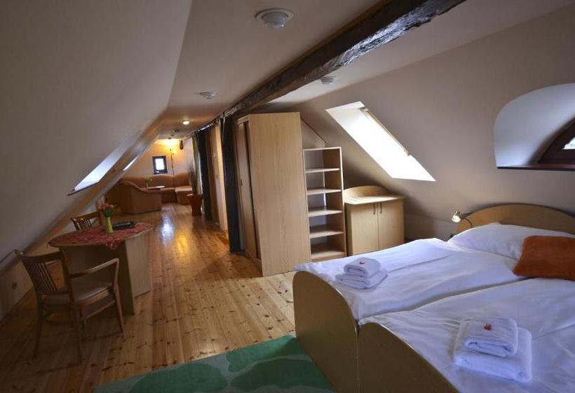 پانسیون U Kozicky