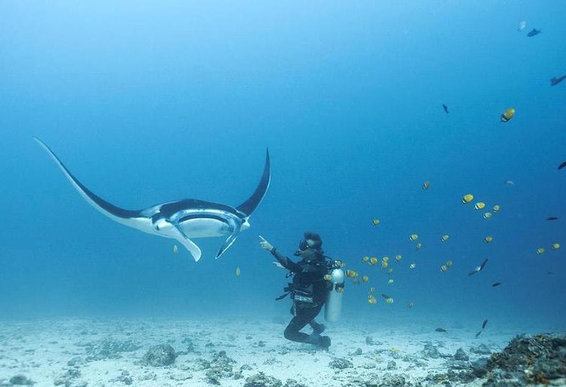 پانسیون Blue Marlin Dive Komodo