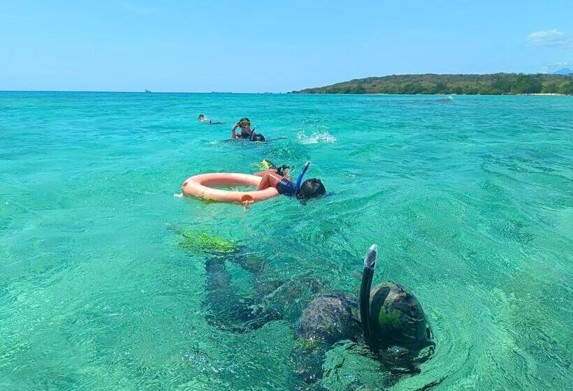 تختخواب و صبحانه Menjangan View
