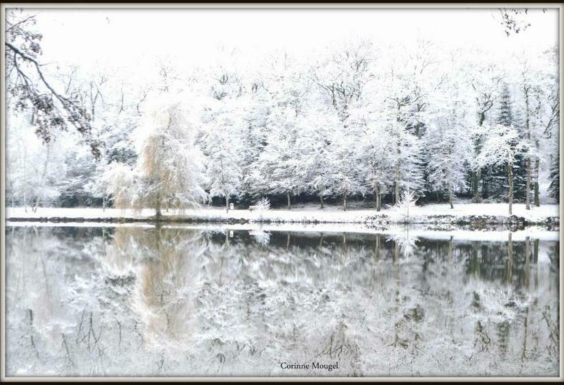 فندق Restaurant Des Lacs