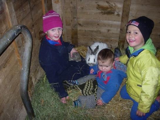 בית מלון כפרי Ferienwohnungen Mittermoos