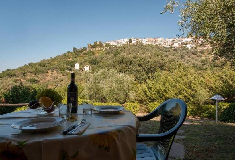 酒店 Oasimaremma Village