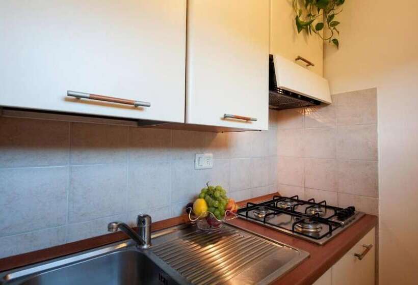 酒店 Oasimaremma Village