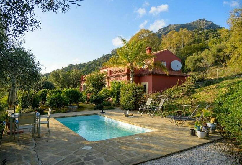 Finca Olivar
