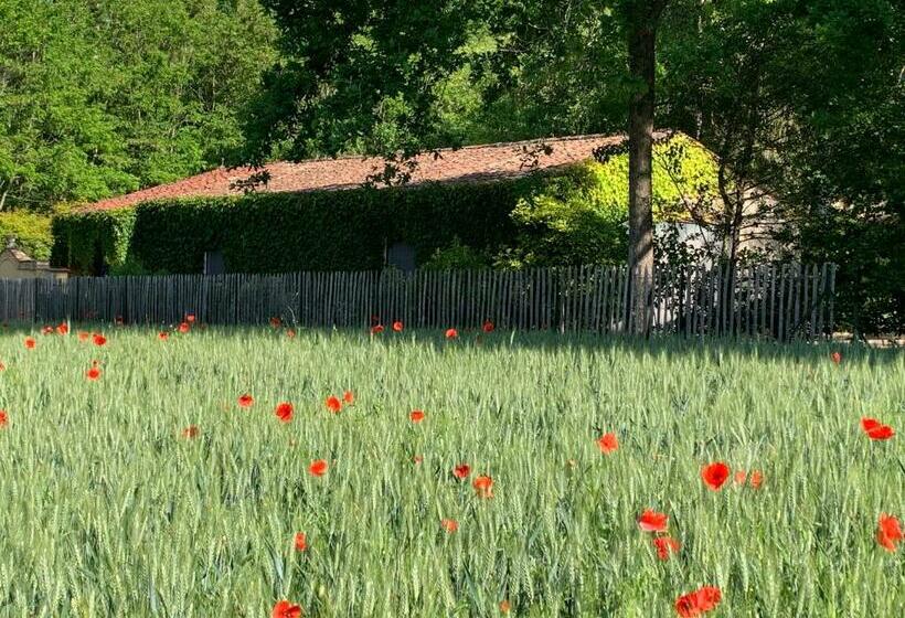 Gîtes De Charme Le Bibendôme Et Les Mots Bleus En Pleine Forêt