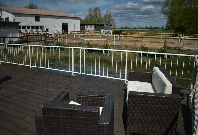 Idylle Auf Dem Reiterhof Bei Husum