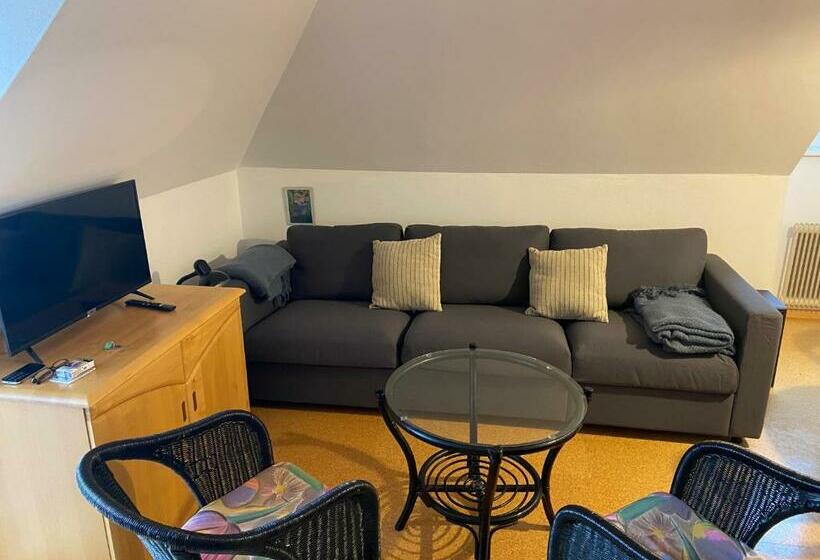 S Apartment Wiedweg