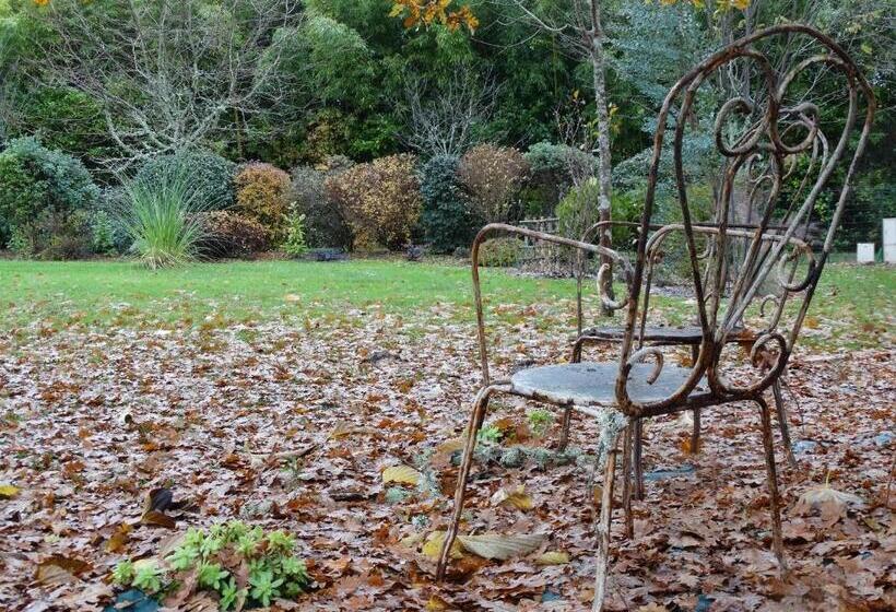 L Escale Sud Gironde   Gîte En Pleine Nature   Calme Absolu   Piscine   Petit Déjeuner Sur Demande