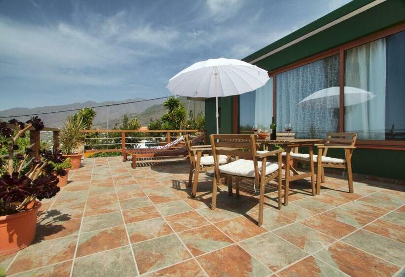 Casa Lagarto