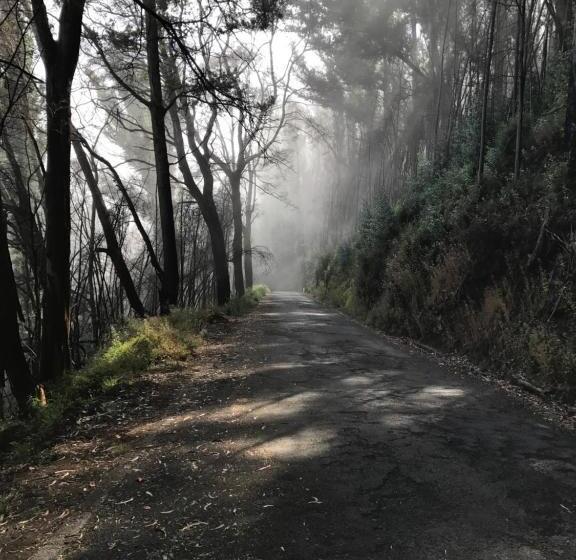 Abrigo Da Madeira