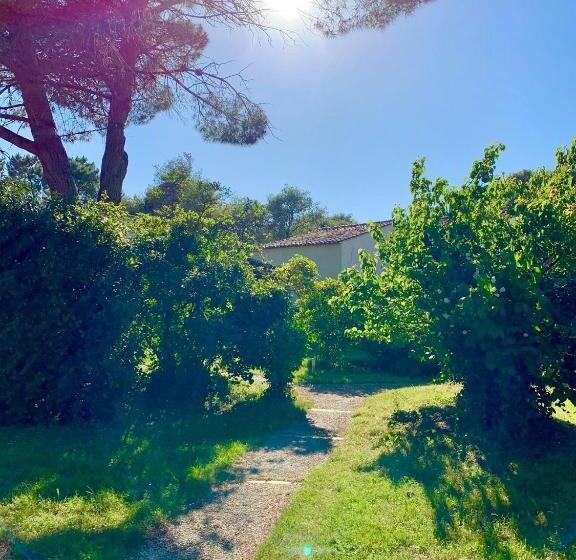 Maison Océan Et Forêt   400m Océan Piscine