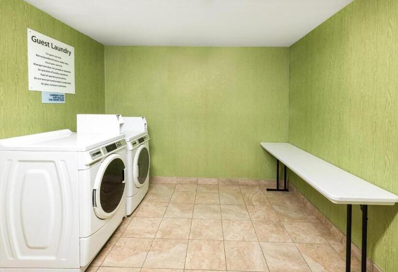 בית מלון כפרי Holiday Inn Express & Suites Floresville By Ihg