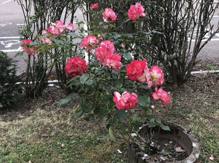 Отель Premiere Classe Metz Nord  Talange