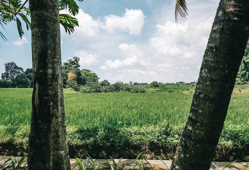 مبيت وإفطار Grün Canggu