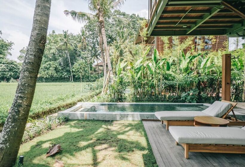 مبيت وإفطار Grün Canggu