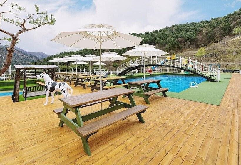 ホテル Gapyeong Gaboja Pension