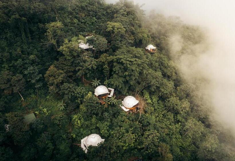 هتل Trekker Glamping