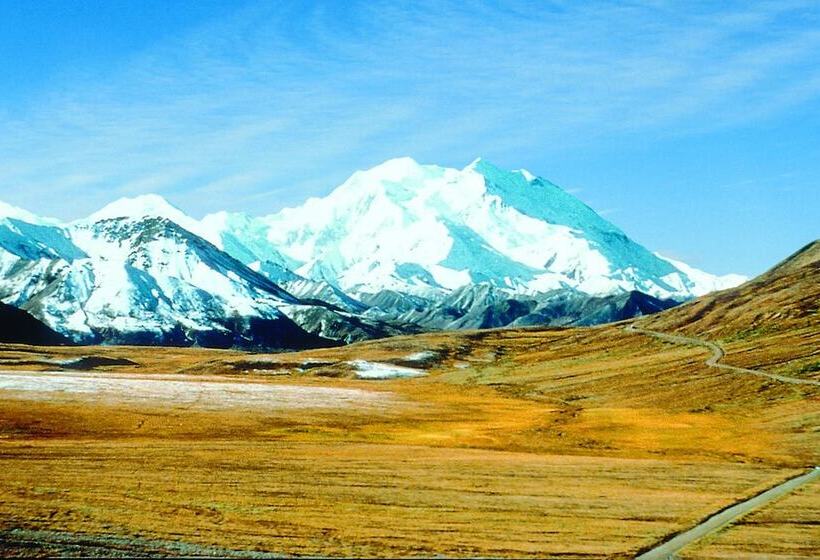 בית מלון כפרי Denali Grizzly Bear Resort