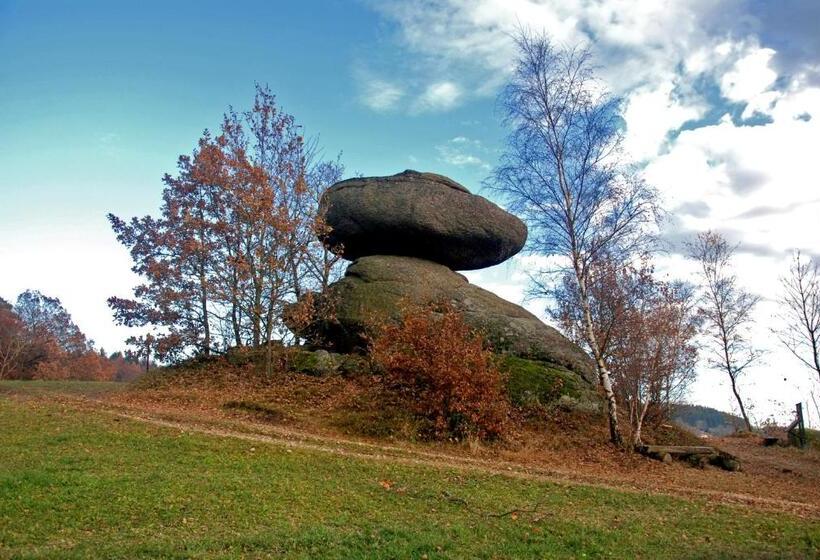 ホテル Gasthof Und Pension Haunschmid