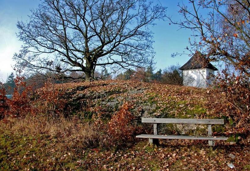 ホテル Gasthof Und Pension Haunschmid