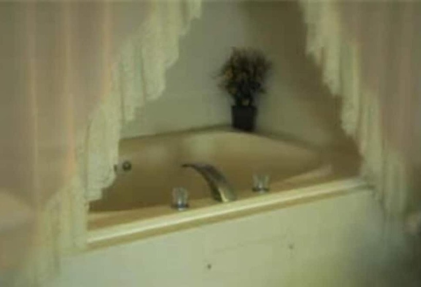 فندق Lakeview Inn