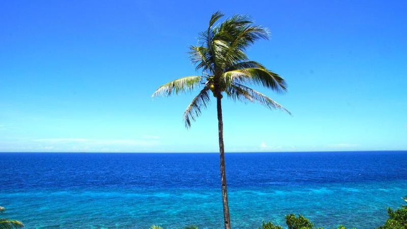 Hotel Blue Star Dive & Resort