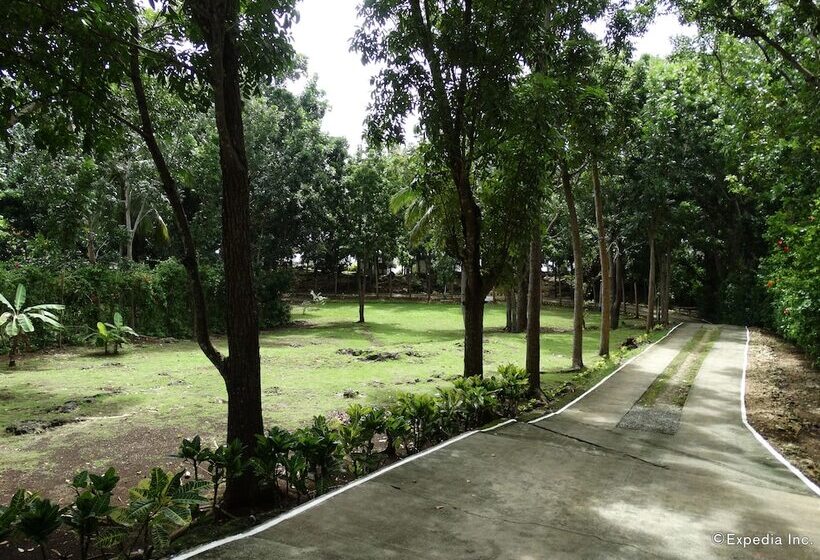 Hotel Blue Star Dive & Resort