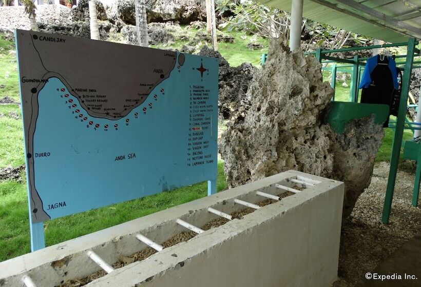 Hotel Blue Star Dive & Resort