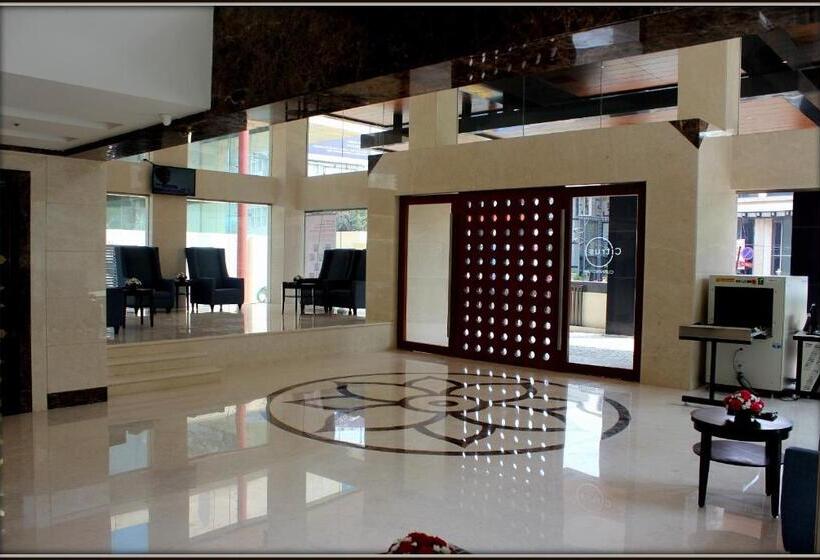 Citrus Hotel Cunningham