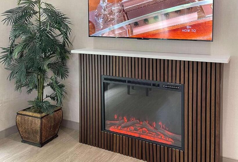 ホテル Comfort Suites Near Seaworld