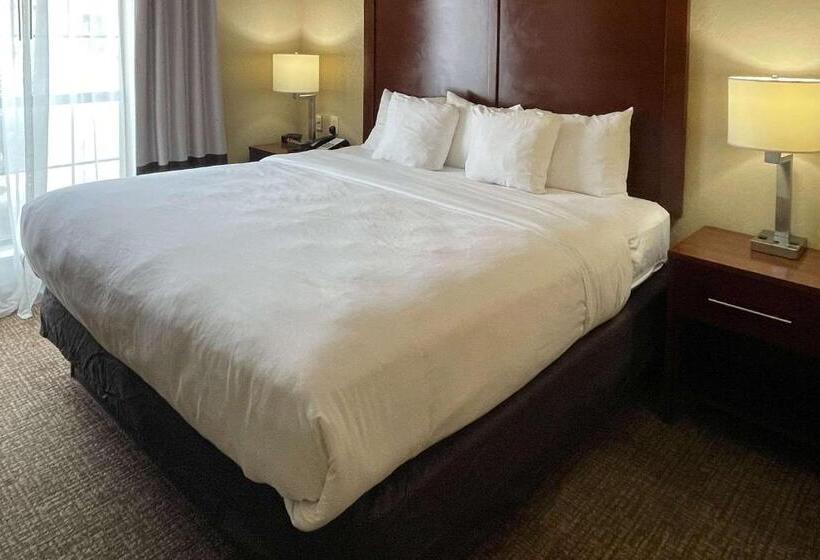 ホテル Comfort Suites Near Seaworld