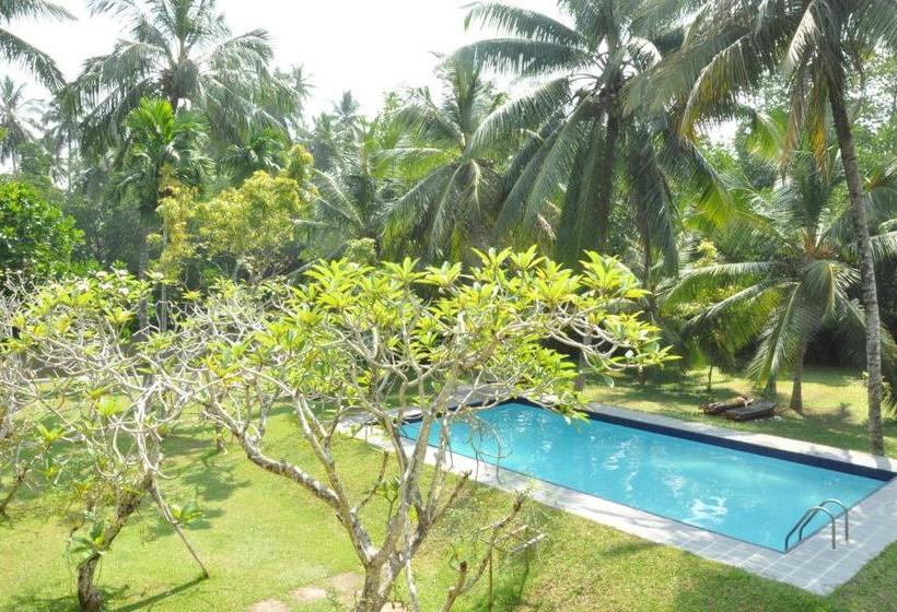 בית מלון כפרי Muthumuni Ayurveda Beach Resort