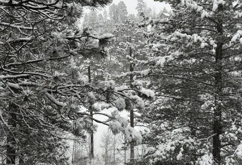 Отель Valley View #831