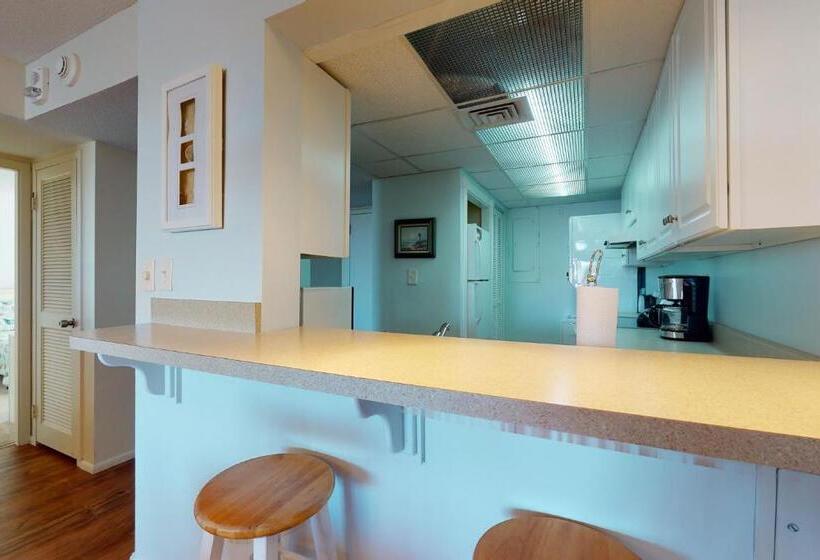 فندق Sea Colony  208 Brandywine House