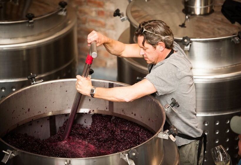 Hotel The Vines Resort & Spa