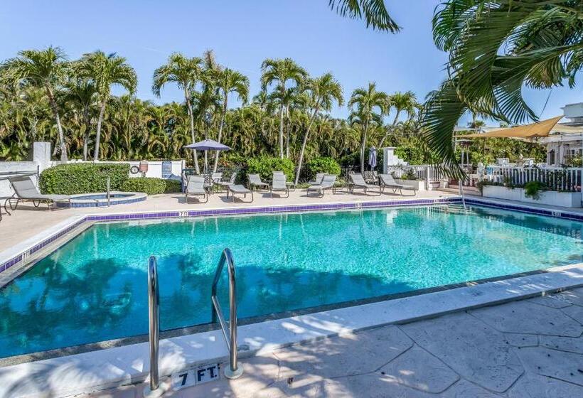 فندق Sunshine On My Shoulders