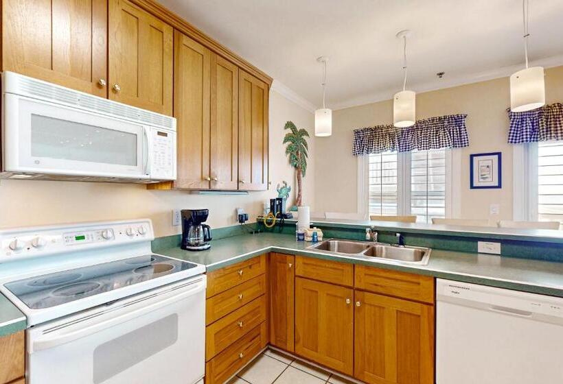 ホテル Pelican S Watch