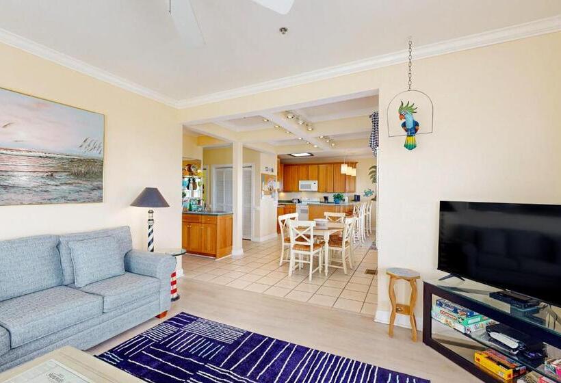 ホテル Pelican S Watch